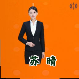 苏 晴